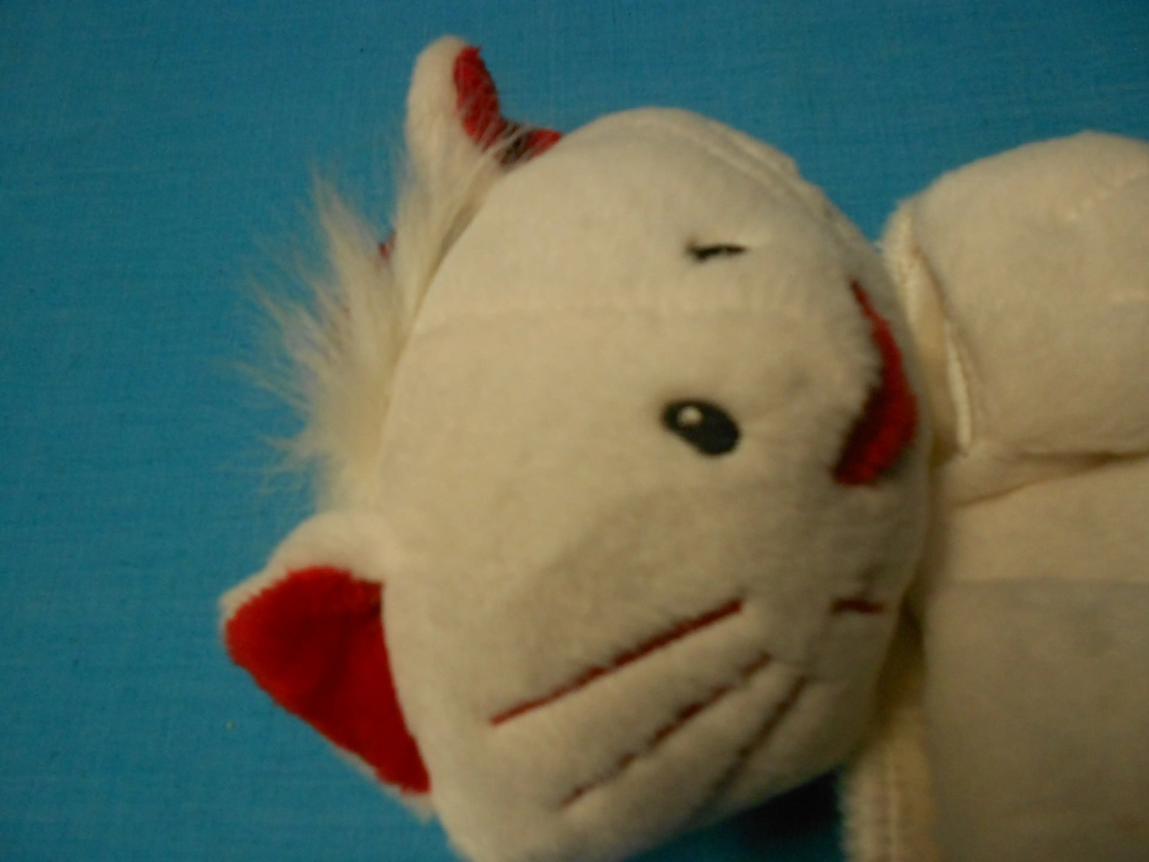 Image 4 of 11