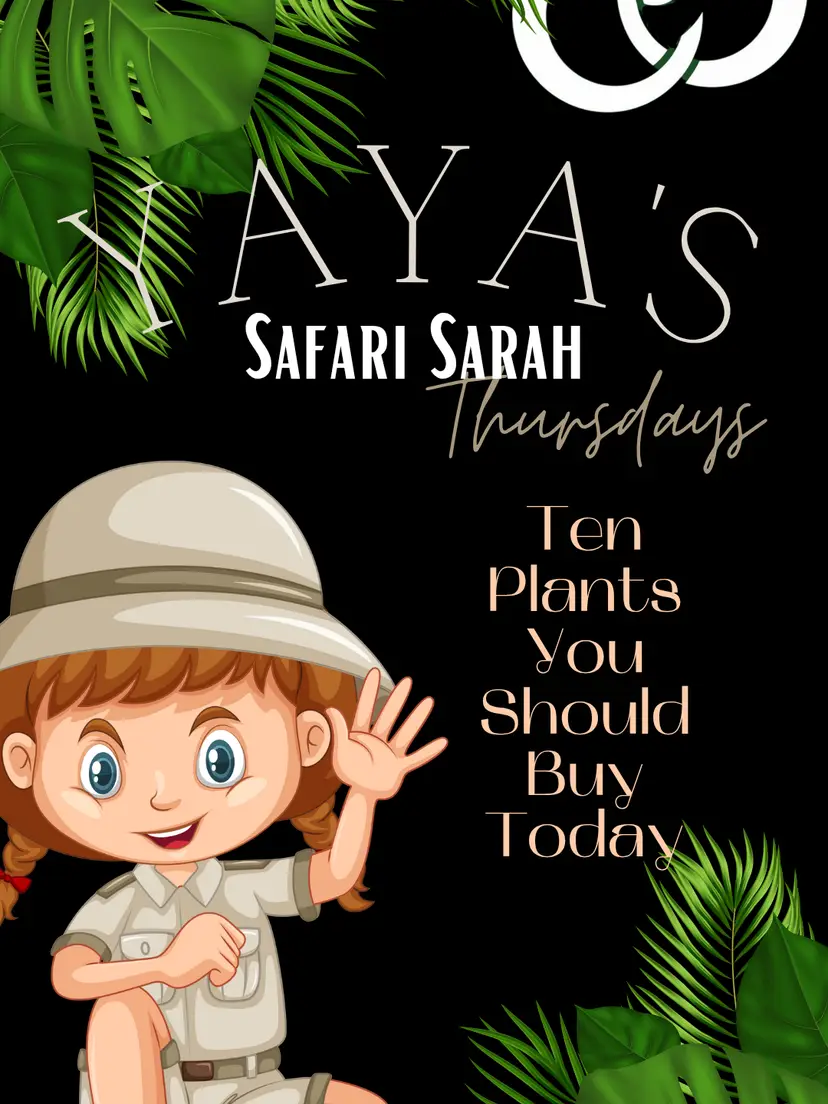 Livestream thumbnail