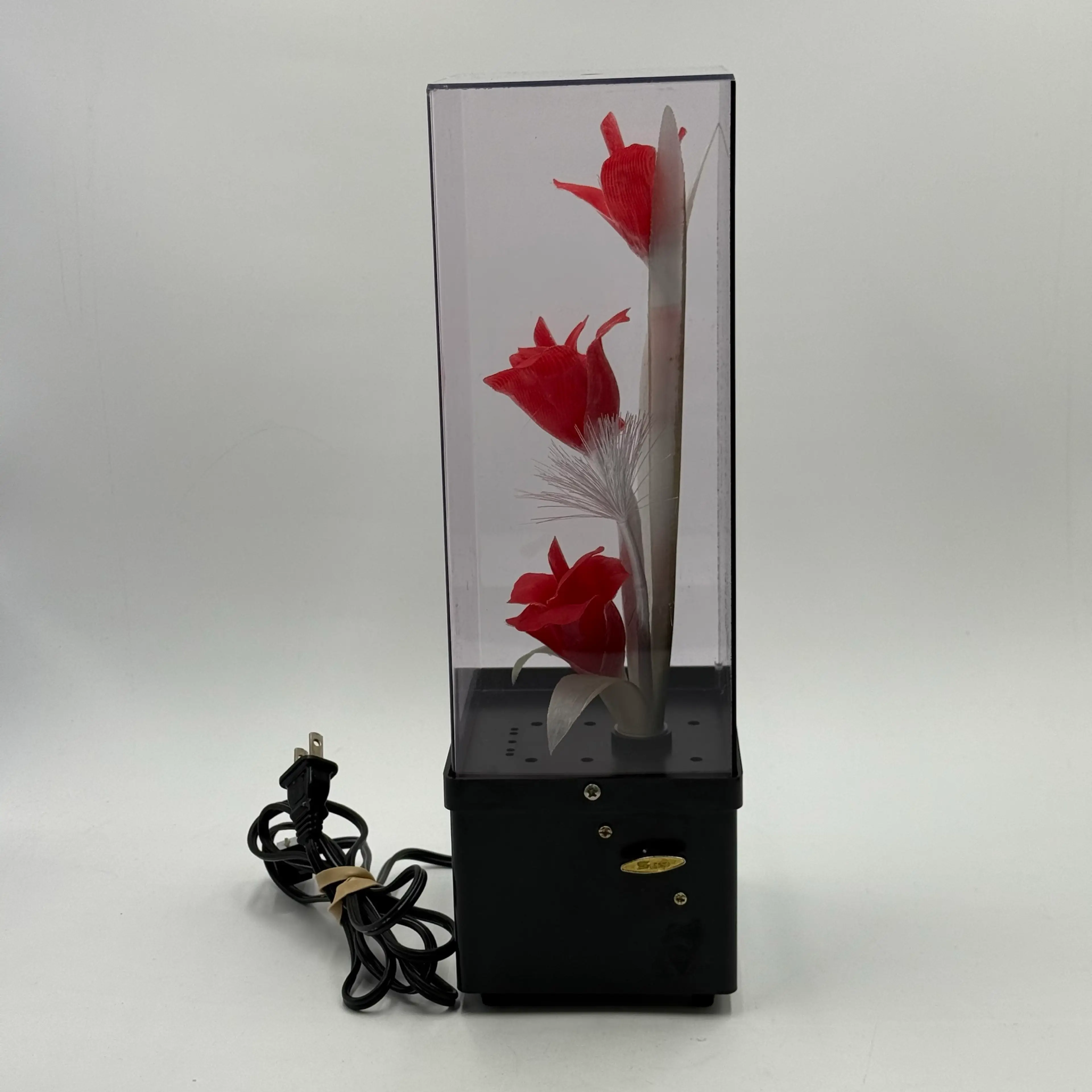 Image 2 of 13