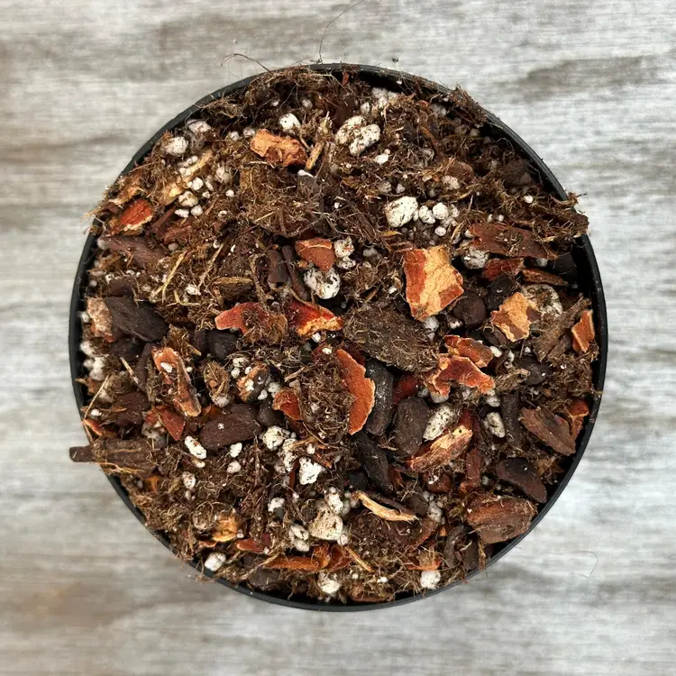 Substrate - Anthurium Magic #5