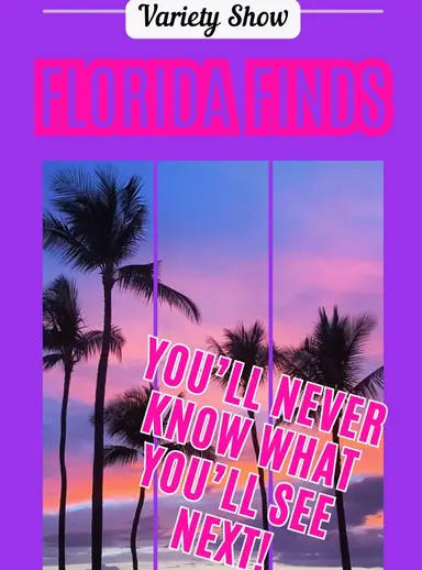 Jolie Flips Vintage Sale