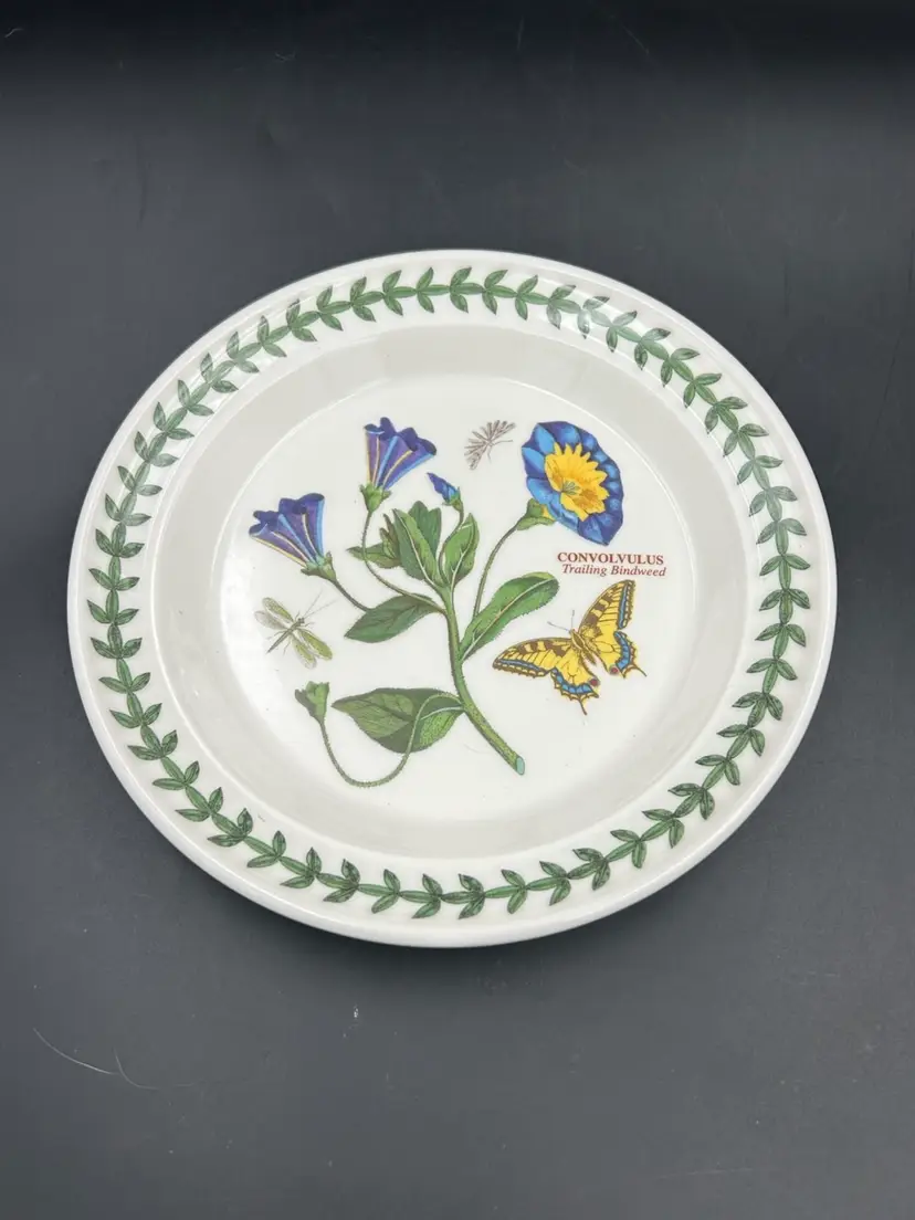 Portmeirion Botanic Convolvulus 7 1/4" B&B Plate Rimmed Susan Williams Britain