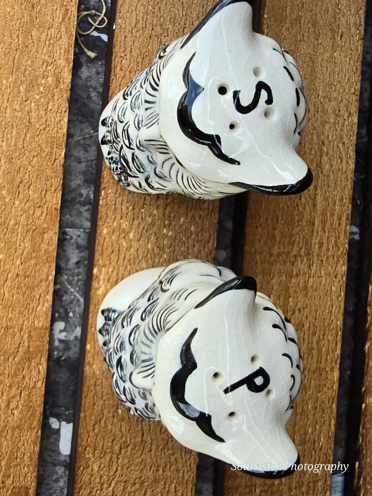 Vintage Folk Art Owl Salt & Pepper Shaker