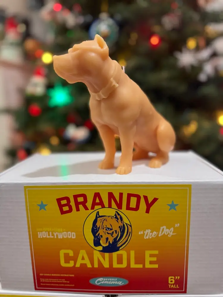 Brandy Candle - Hero Dog from ONCE UPON A TIME IN HOLLYWOOD