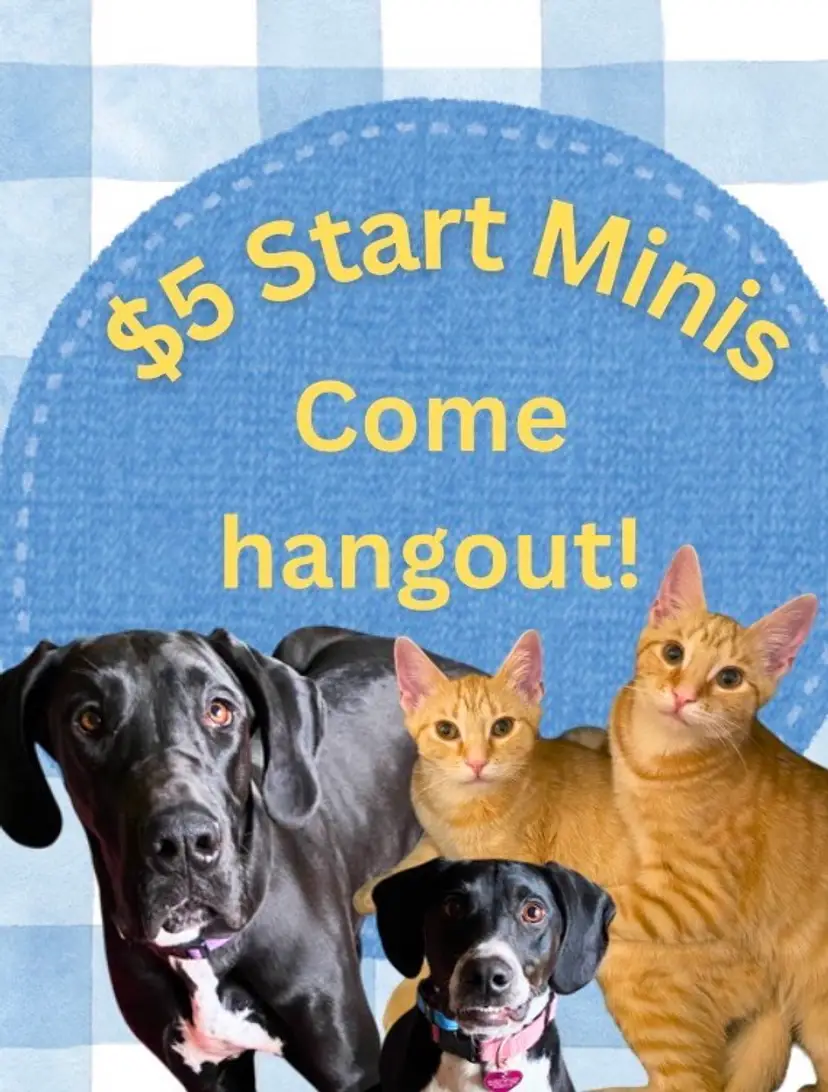 Livestream thumbnail