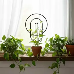 Modern Plant Trellis, Circle Shaped Plant Support, Indoor Garden Decor, 11.875" tall