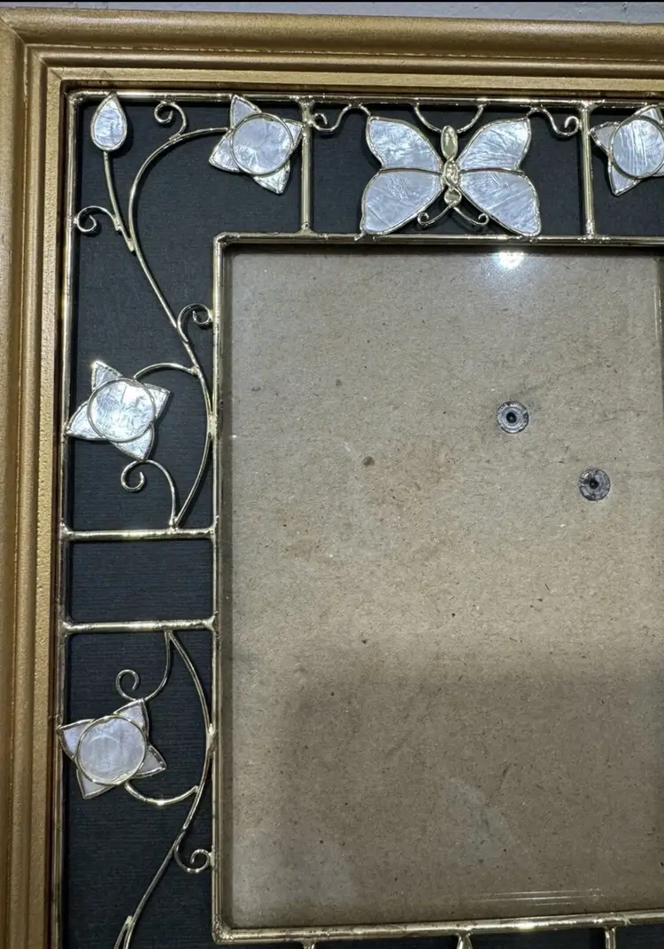 Ensco Mother Of Peral Picture Frame Butterflies And Dragon Flies 4x6 Photo