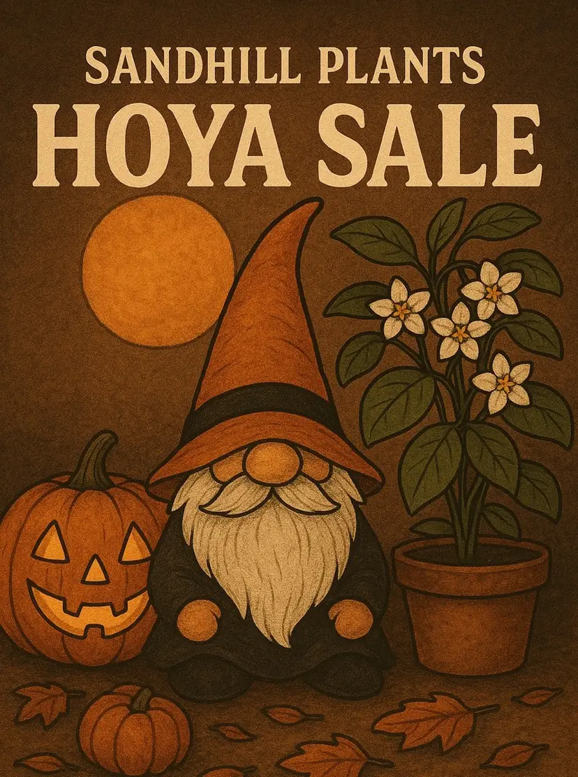 Livestream thumbnail