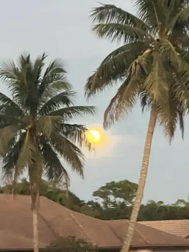 Morning Shop The Shelves w/ Mel’s Collectibles 