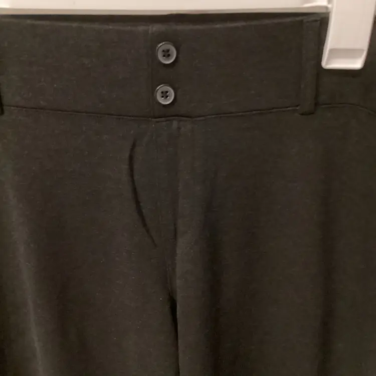 ALYX Women's Size XXL Stretch Dress Rayon Blend Pants Charcoal 36X31 Soft