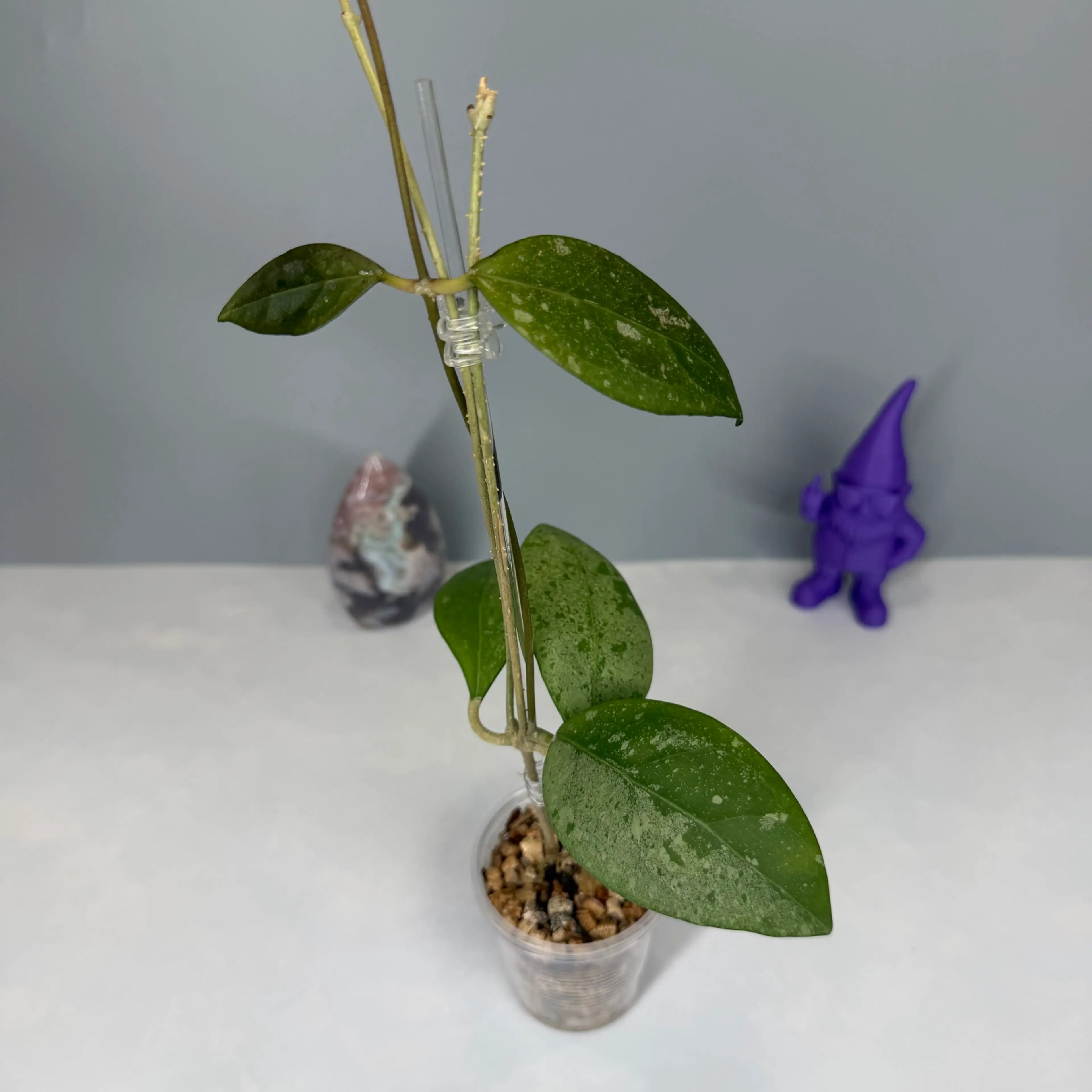 Image 3 of 4