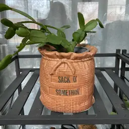 Vintage planter - Webster 'Sack o' Somethin'