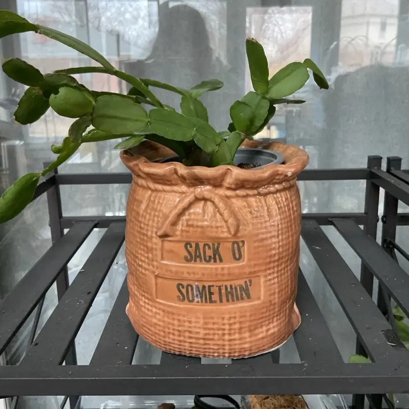 Vintage planter - Webster 'Sack o' Somethin'