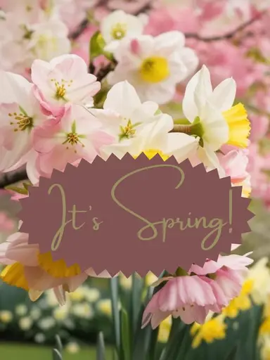 Springtime Variety! 🐰 💐 