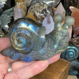 Labradorite Snail 115A
