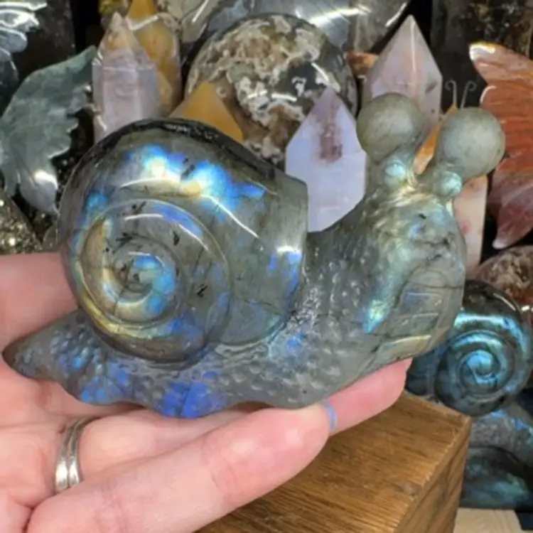 Labradorite Snail 115A