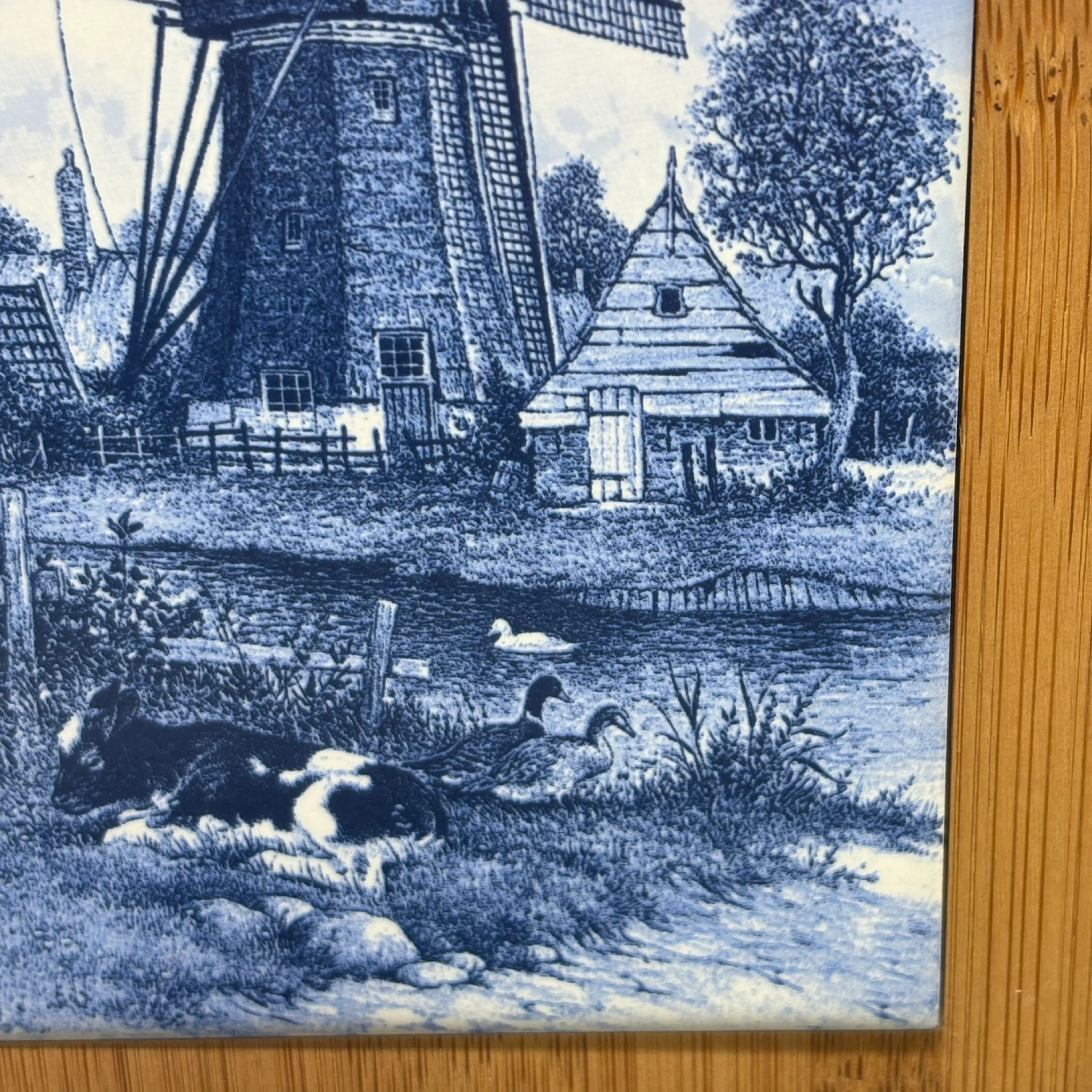 Image 3 of 6