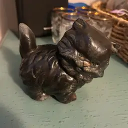 Chonky Kitten