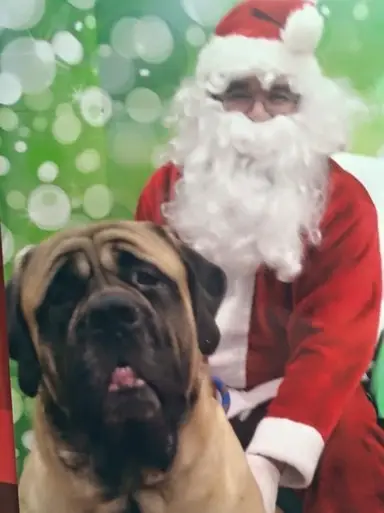 Christmas Clearance & Vintage Variety Gifts 