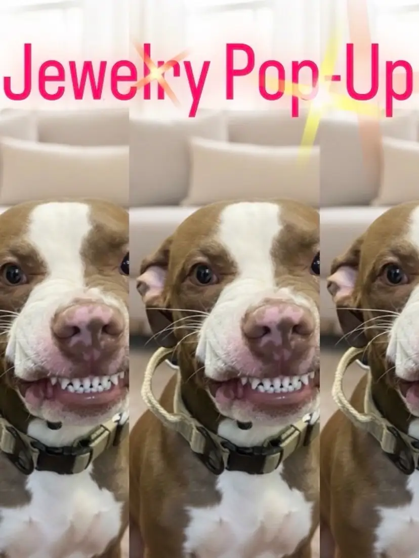 Livestream thumbnail