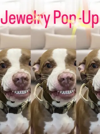 Sterling Silver, Rings, Necklaces, Bracelets