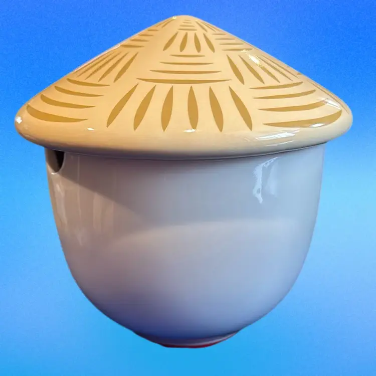 Noodle Bowl With Lid