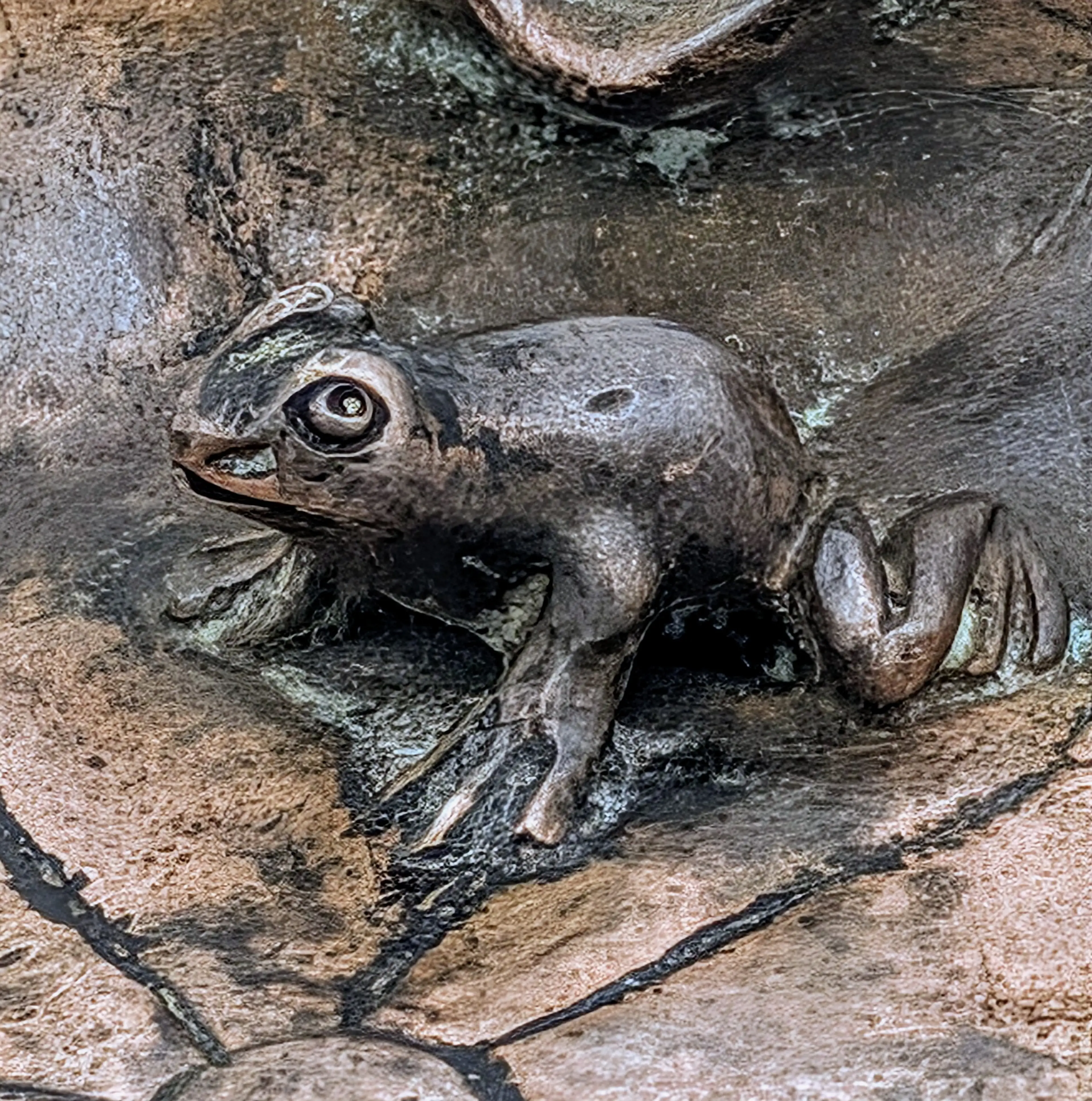 Image 4 of 9