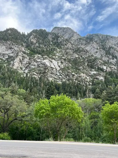 Shop live With Me Deseret Industries 