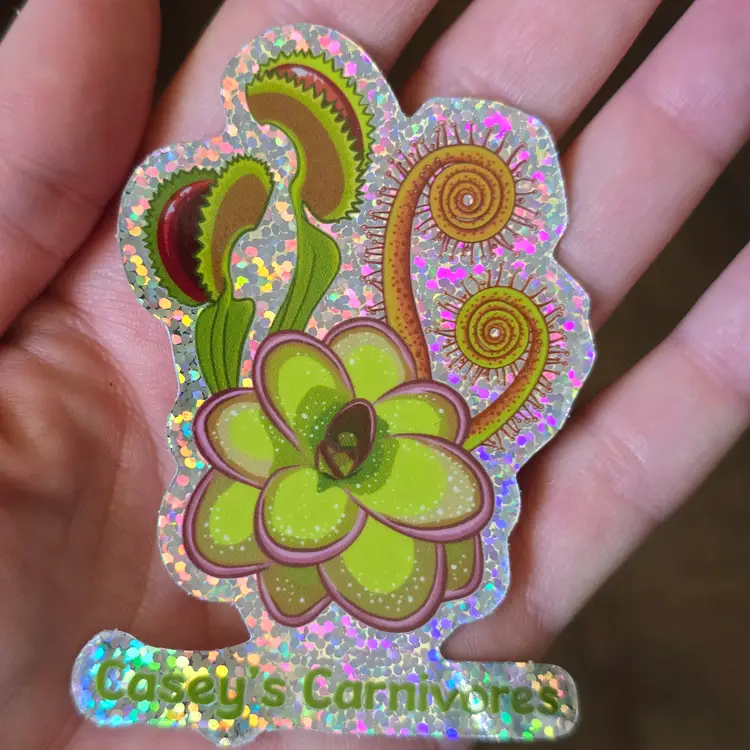 ADD-ON new 3 inch Casey's Carnivores glitter sticker