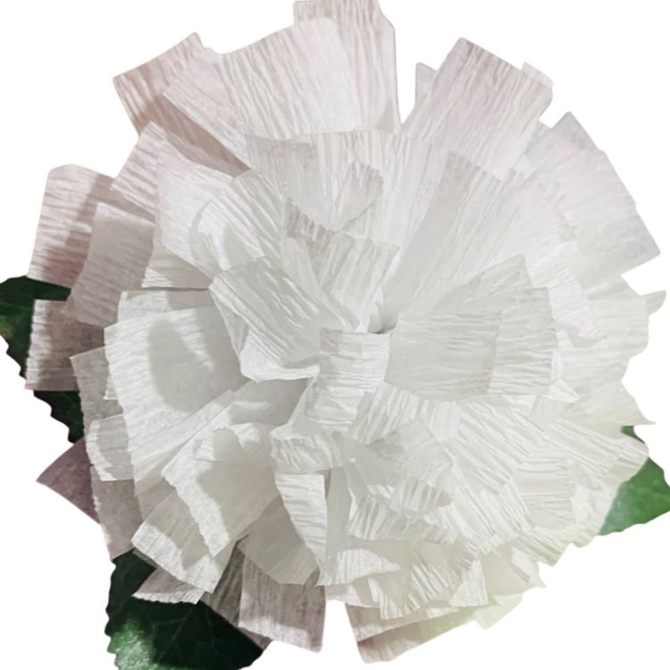 Vibrant Crepe Paper Flowers Made By Me White Color Marigold Carnation Blossom 3.5-4” Diameter Blossom And 5.5-6” Tall Overall