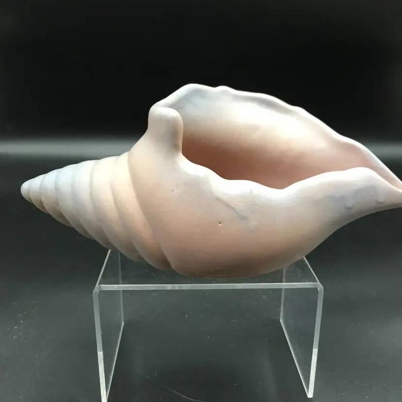 Van Briggle Mulberry/ Persian Rose Conch Shell