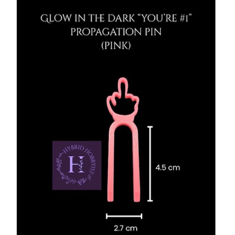 Glow in the dark “you’re #1” propagation pins (10 pack)