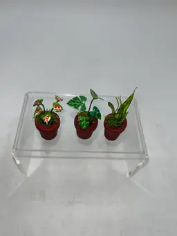 Handcrafted Miniature Dollhouse Size Tropical House Plant Set Of 3