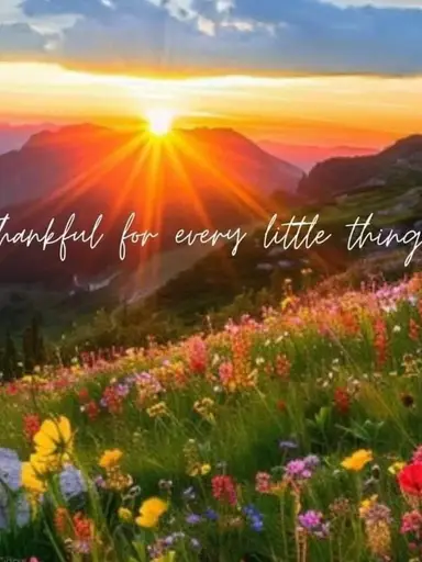 Vintage Variety Today!!!