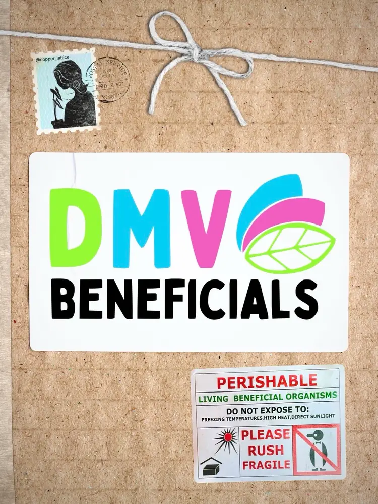 All About Beneficial Insects for Pest Management! 