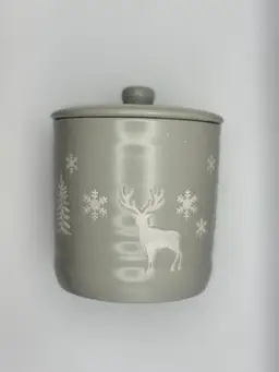 Winter Peppermint And Pine Canister 6”