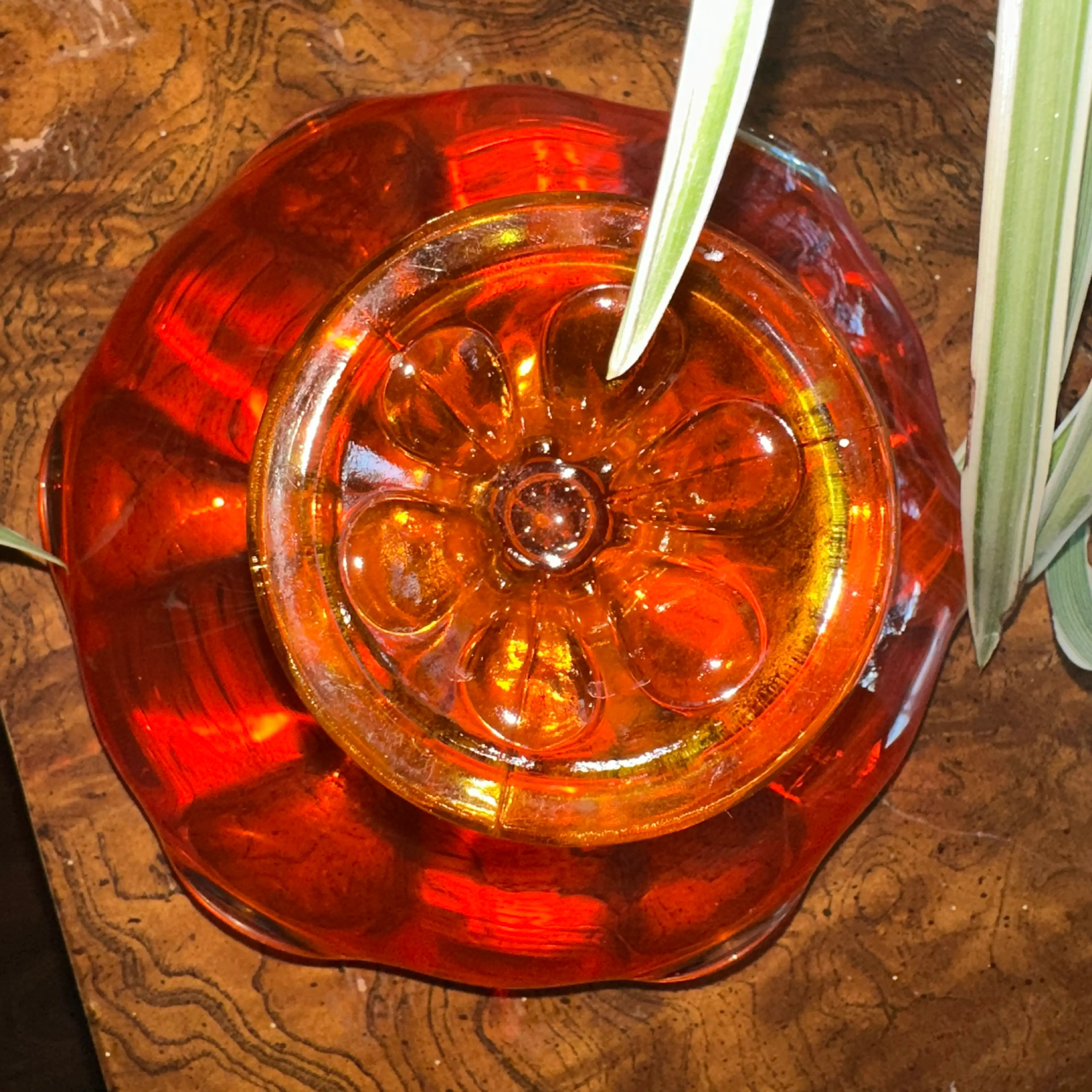 Image 5 of 6