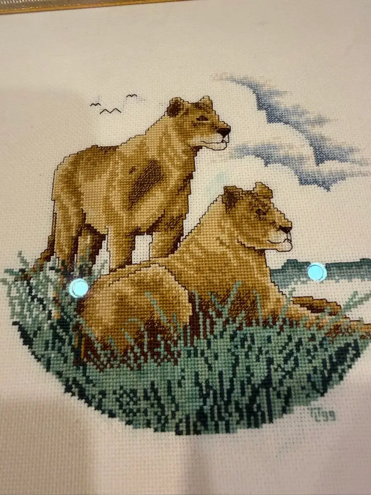 Stunning, Professionally Framed Crosstitch Decor