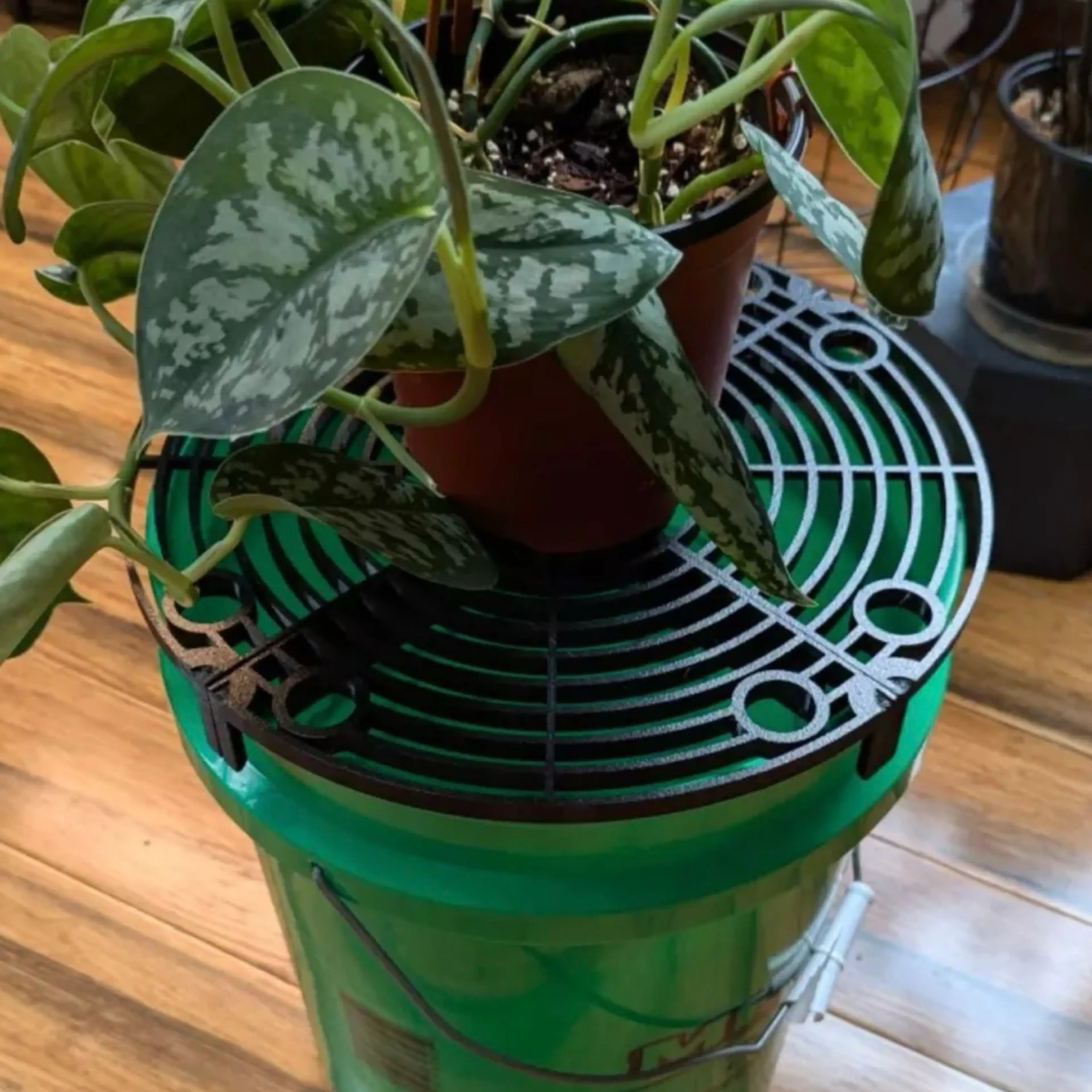 Image 2 of 2