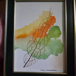 Hoya Art Clemensiorum Leaf Skeleton