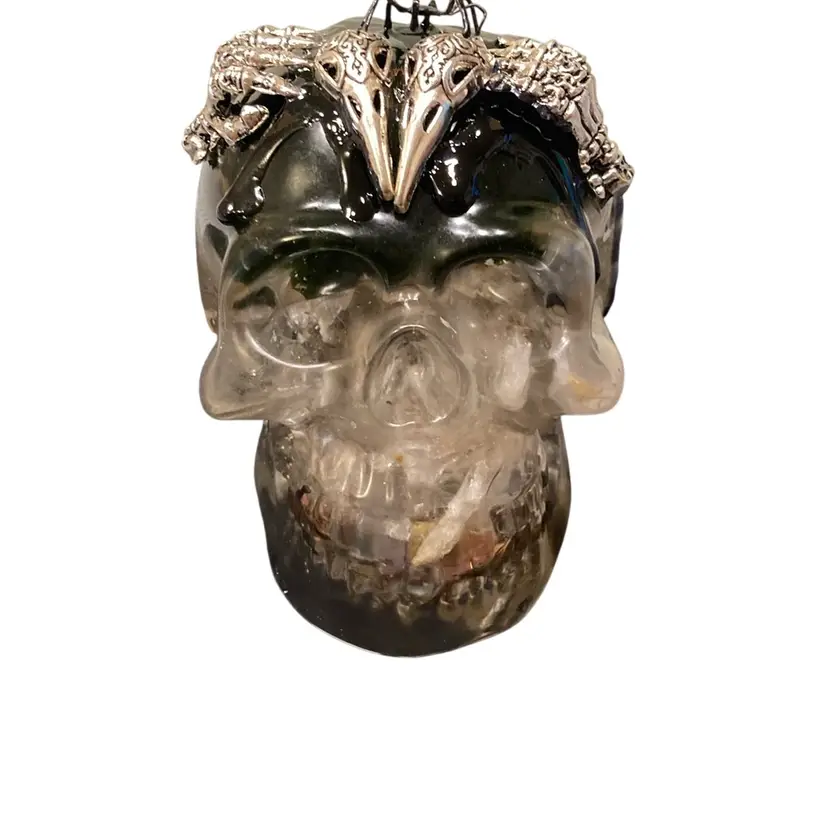Bug Surprise Resin Gothic Style Skull Figure Paperweight