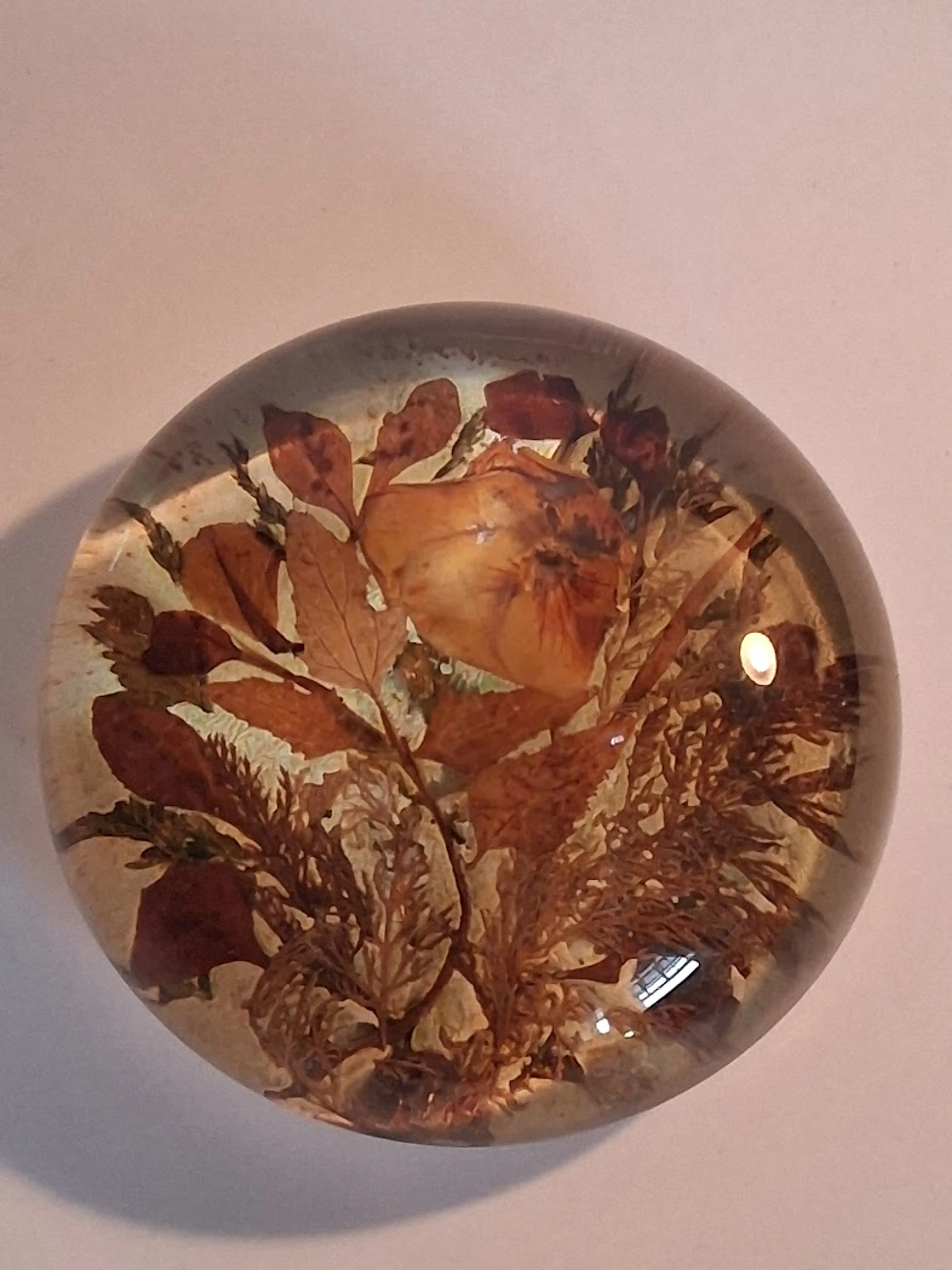 Image 3 of 6