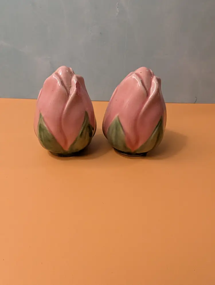 Franciscan Desert Rose Salt & Pepper Shakers