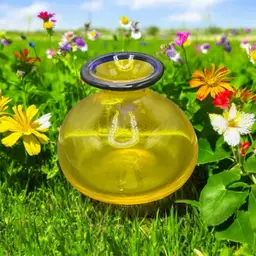 Czech Bohemian Blown Glass Yellow Vase Cobalt Blue Rim 4” Tall