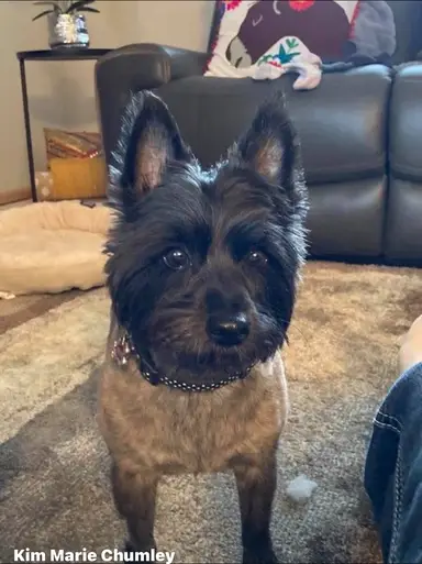 $7 Starts Vintage Variety