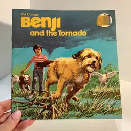 Benji and the Tornado Book 1981 AS IS
