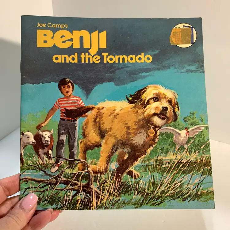 Benji and the Tornado Book 1981 AS IS