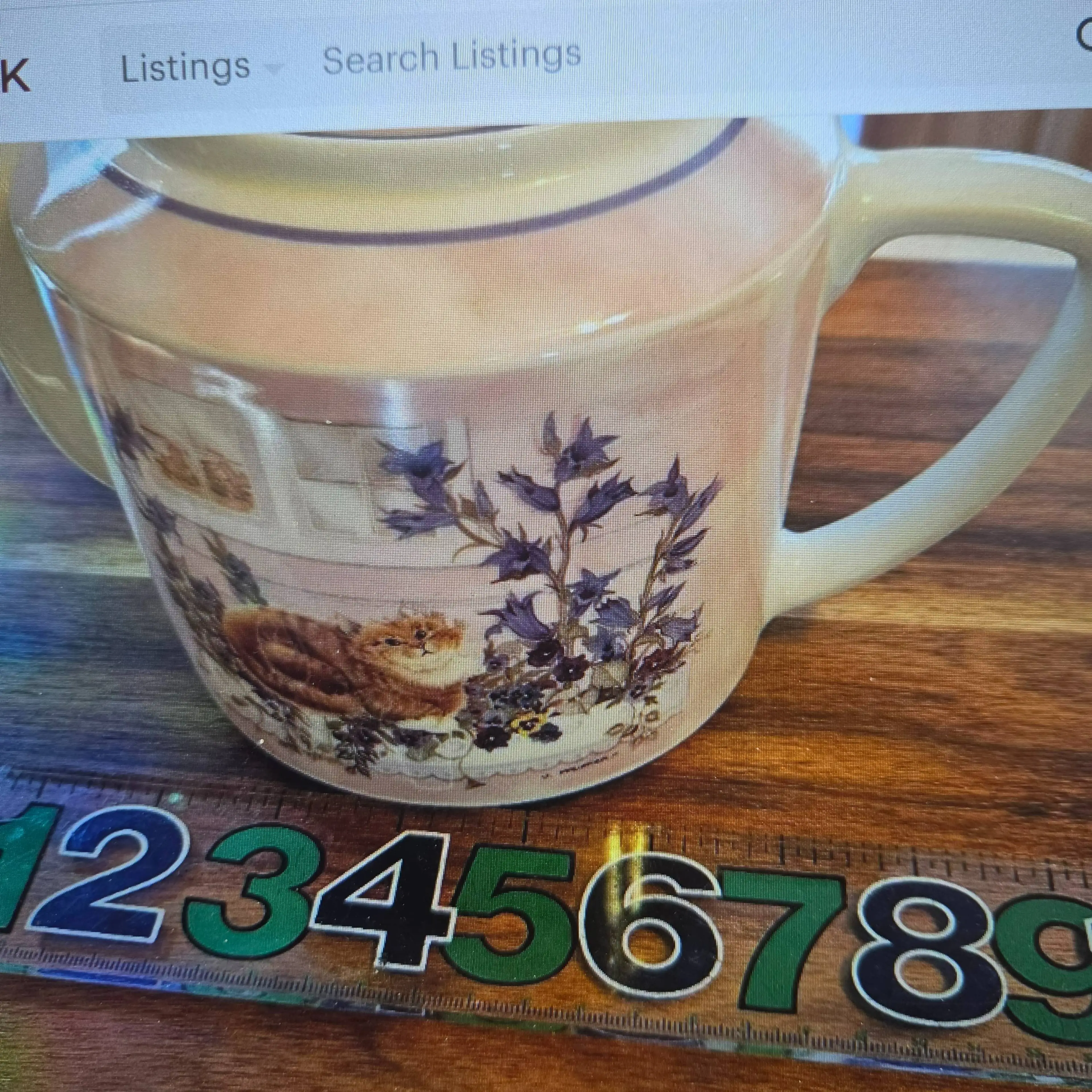 Image 5 of 6