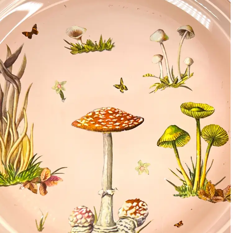 Nature Theme Mushrooms & Butterflies 8-3/4” Glass Plate. Pink 💕 Background. Looks Handmade!