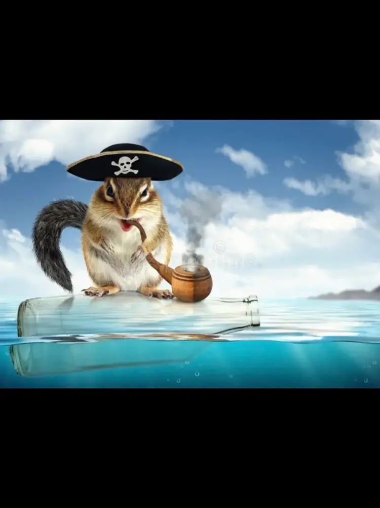 Put That In Your Pipe 😉